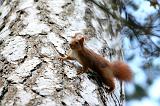 IMG_8284b