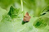 IMG_9186