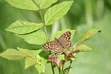 IMG_9192