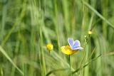 IMG_9220a