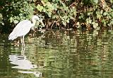 IMG_0731a