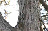 IMG_8297c
